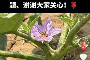 菲利克斯西甲对阵马竞两回合皆有进球，19-20赛季梅西后首人